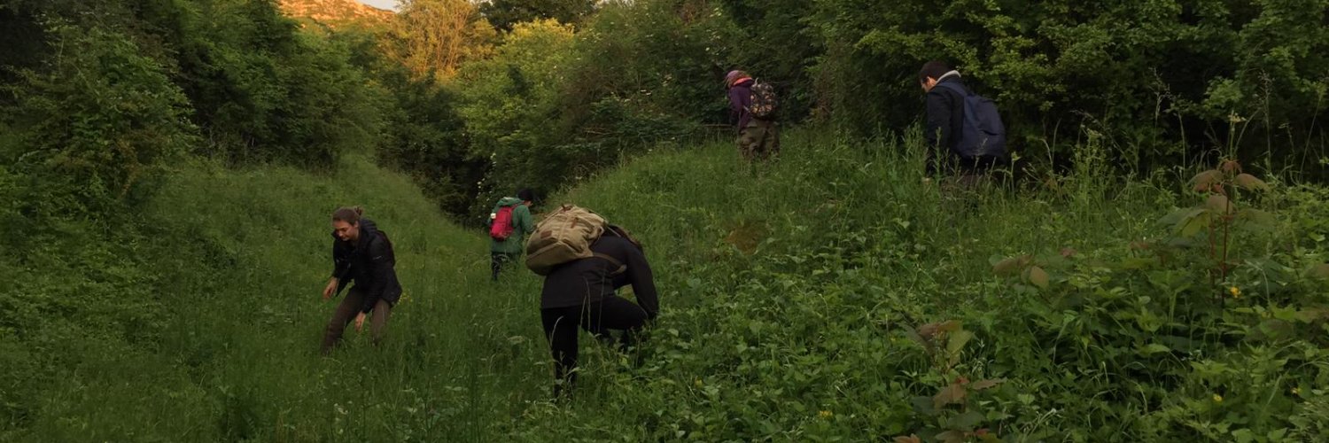 Insect Ecology Group banner