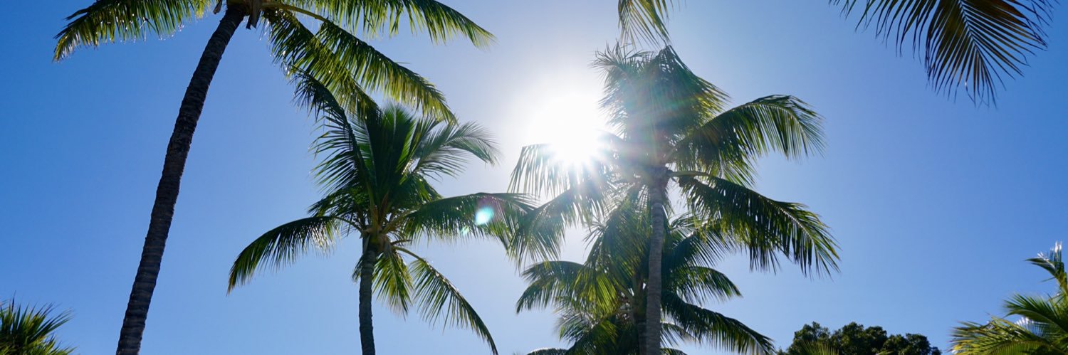 sincerelymiami's profile banner image