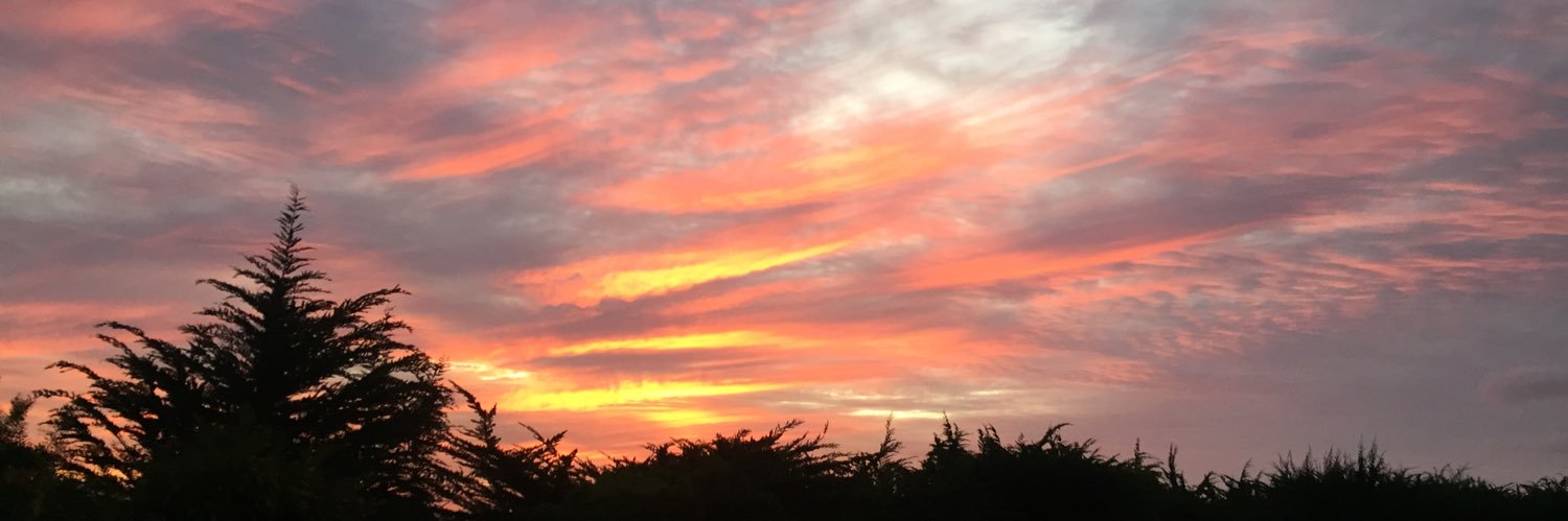 andreadechile banner