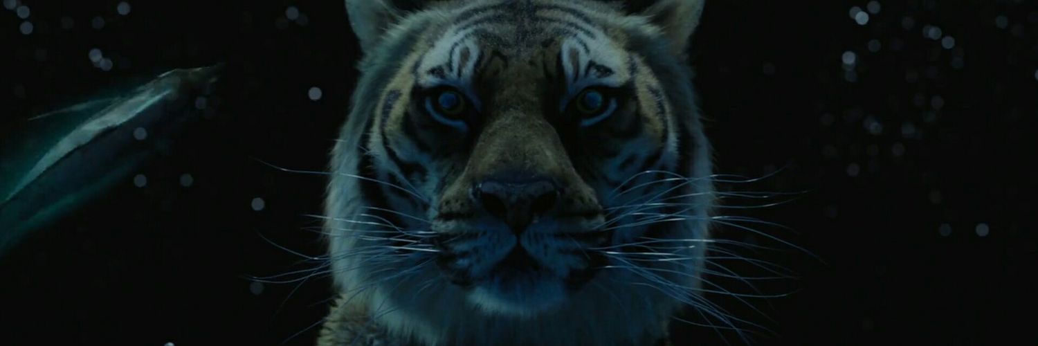 AndreCata25's profile banner image