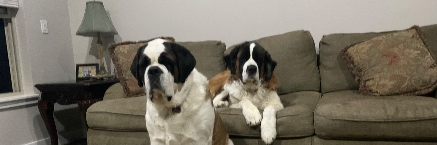 Brian Ulrich 🐤 banner