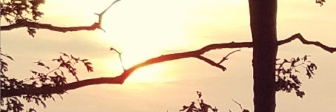arethaLDP's profile banner image