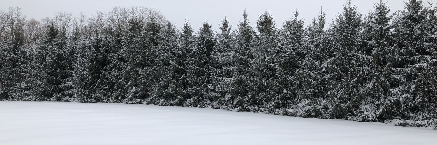TAYLER_GRISWOLD's profile banner image