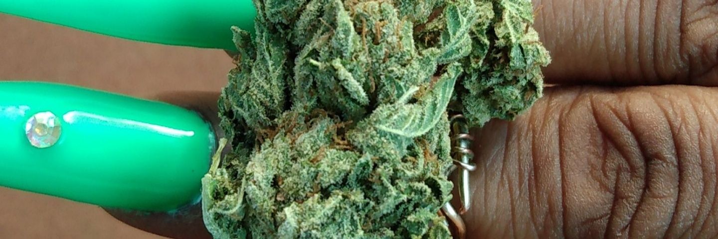 DODGER BLUE🦋🥶 banner