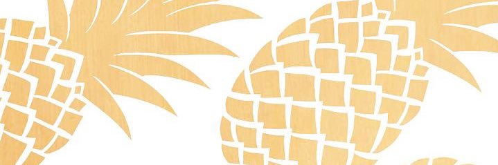 andujara's profile banner image