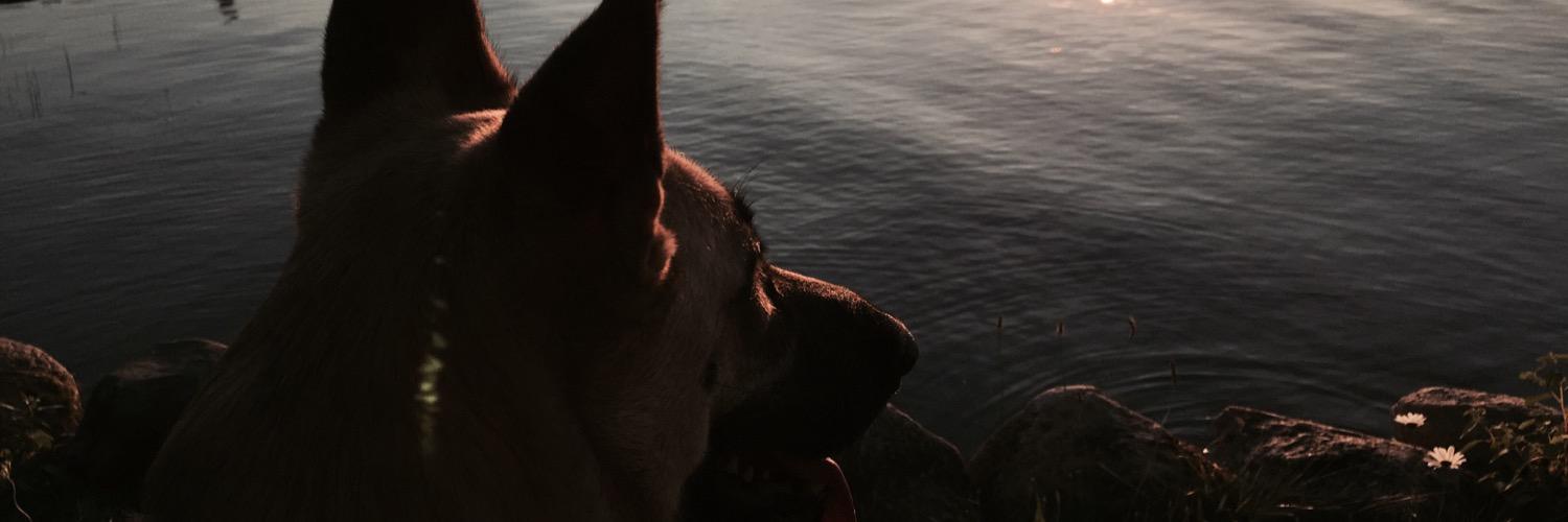 Tri_ed's profile banner image