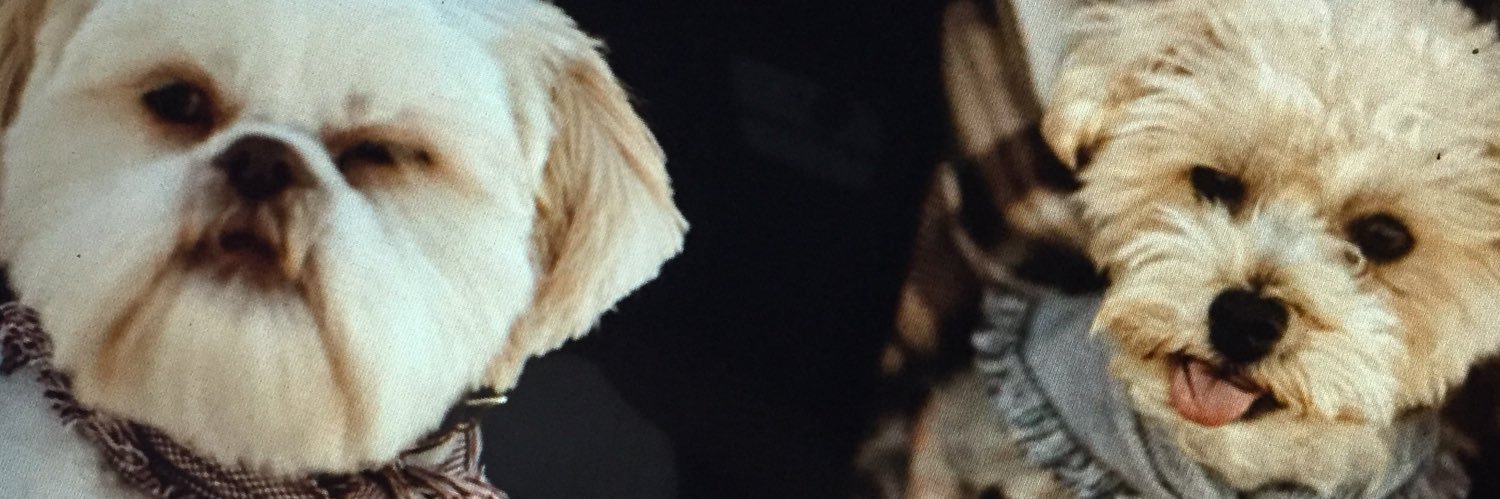 SLynn309's profile banner image