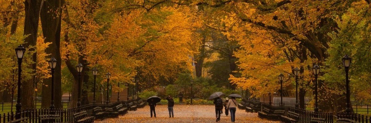WazhmaK's profile banner image