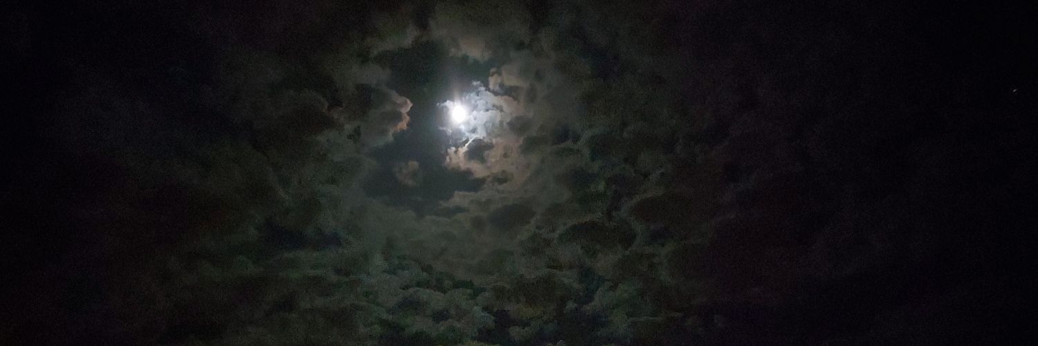 mizahman68's profile banner image
