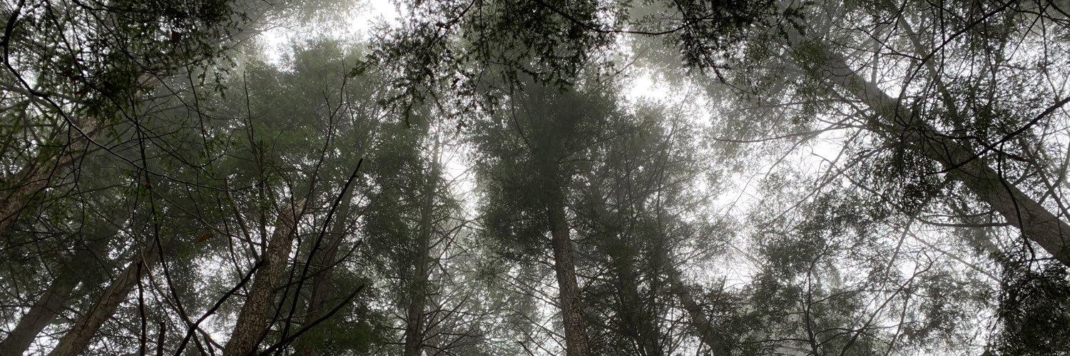 wBFw's profile banner image