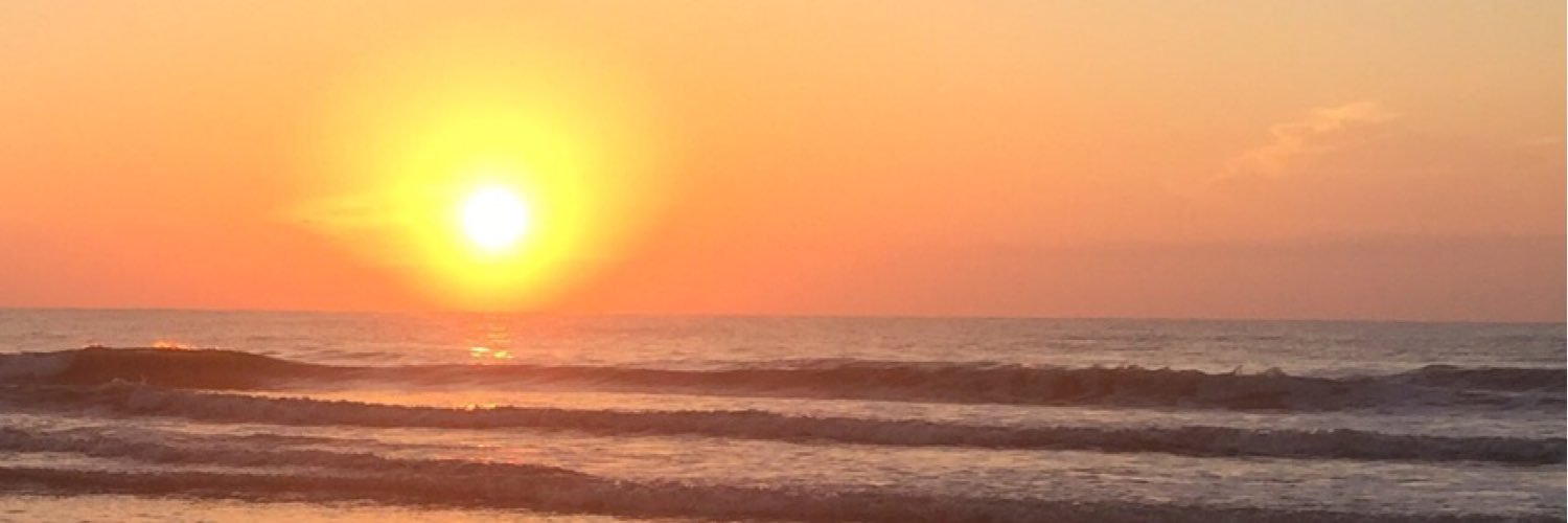 LPflibsen's profile banner image