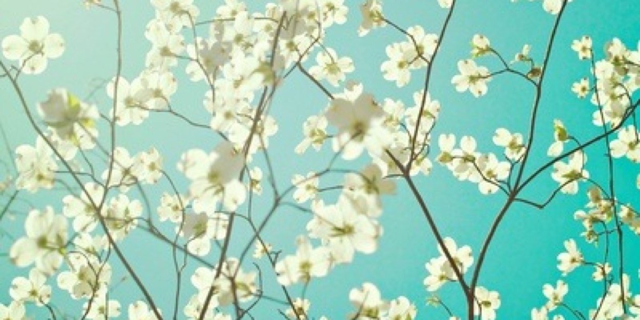 abbyleeee22's profile banner image