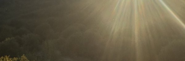 tailtiu0 Profile Banner