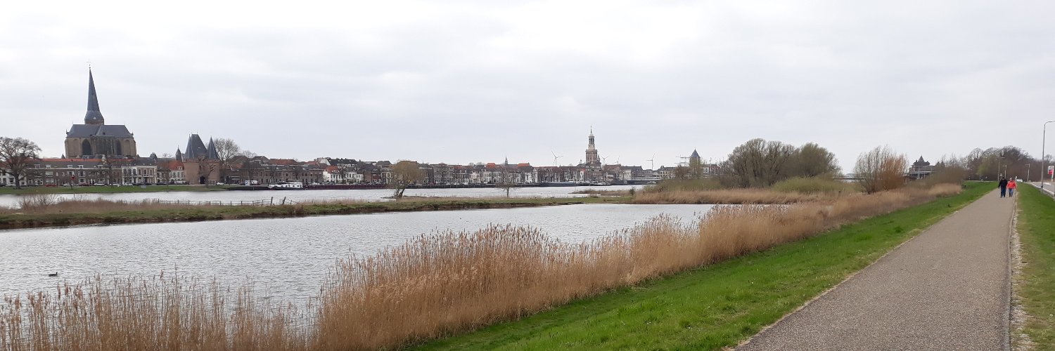 willem banner