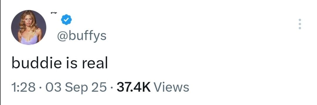 memestar14 - MEESH banner