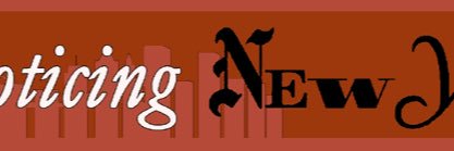 NoticingNY's profile banner image
