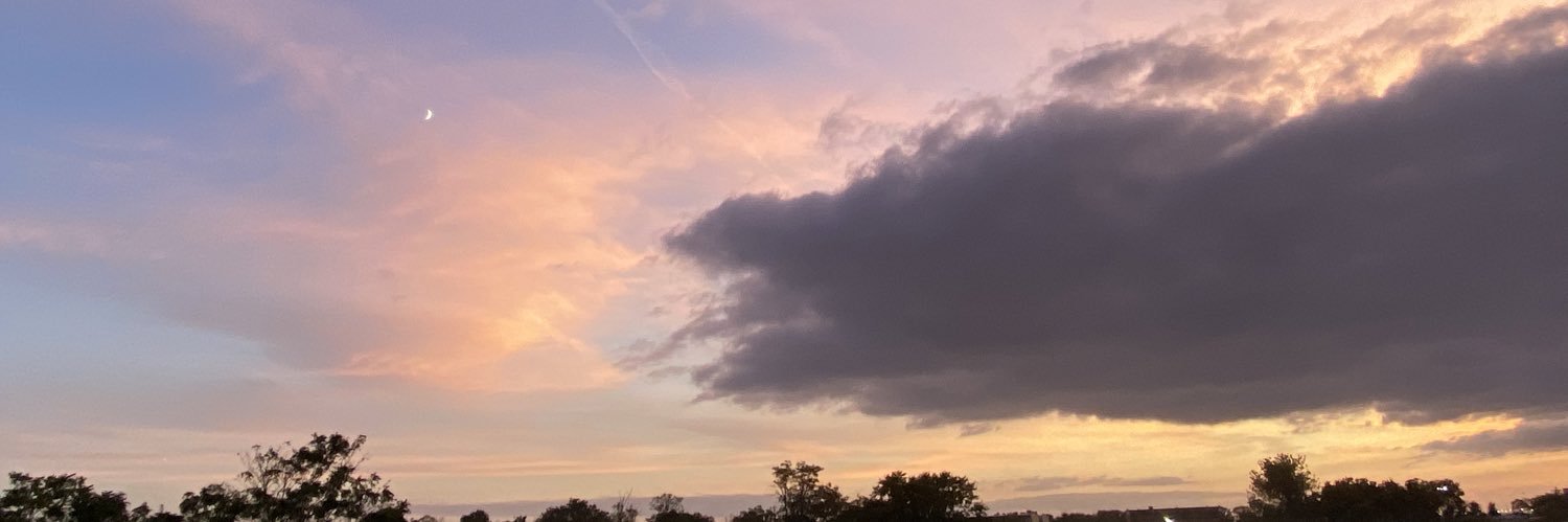 starksierina's profile banner image
