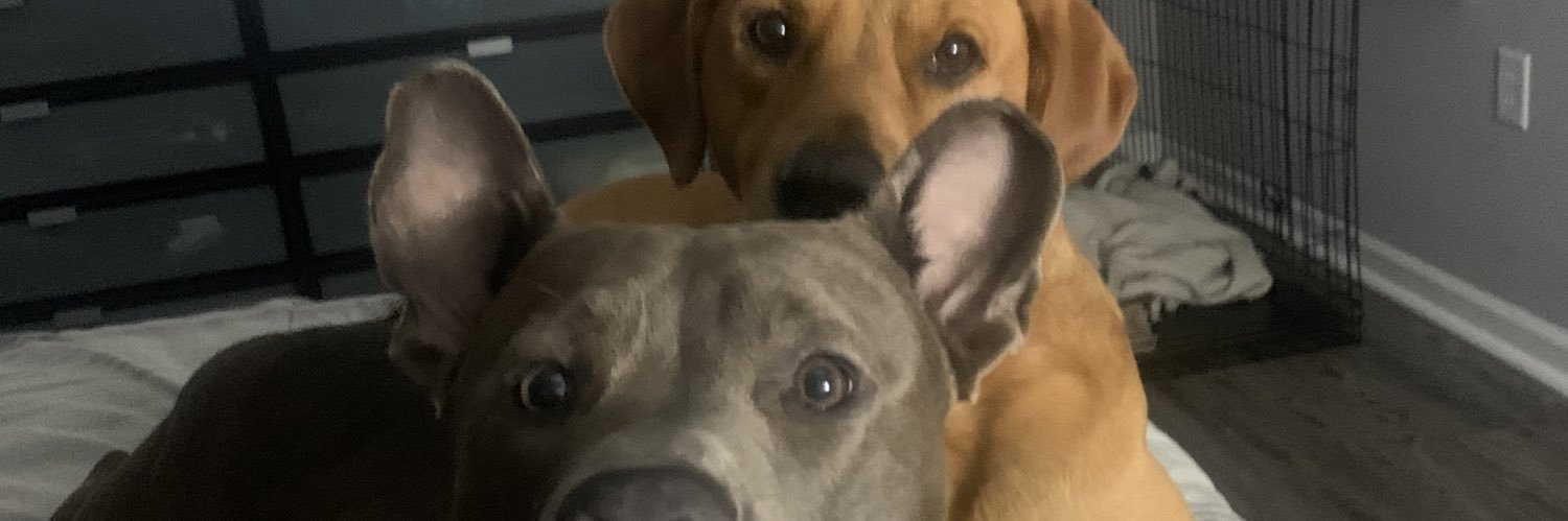 LarryFingers's profile banner image