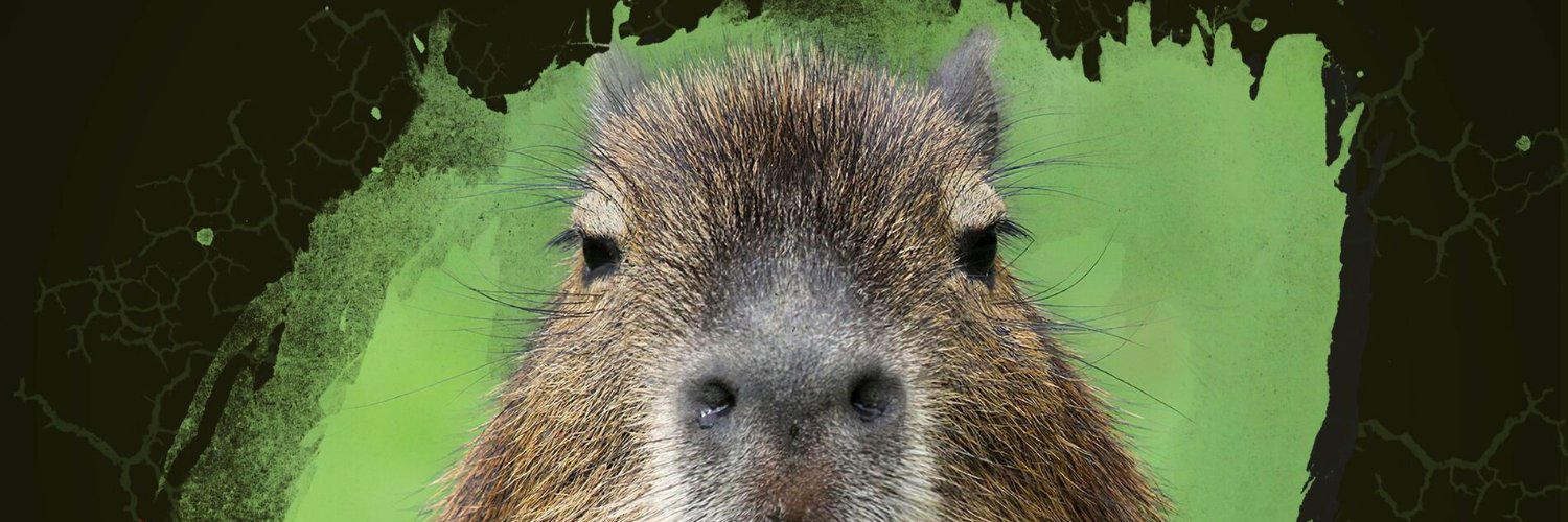 Capivara banner