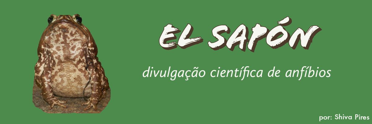El Sapón's banner