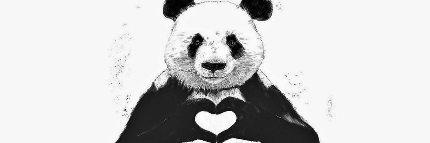 PandaBomb9k's profile banner image