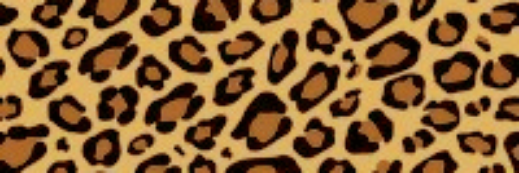 MiniOsamenta's profile banner image