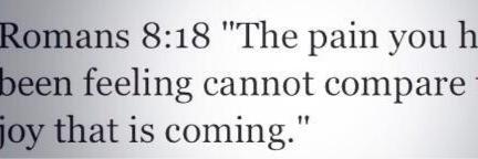 Damian Williams banner