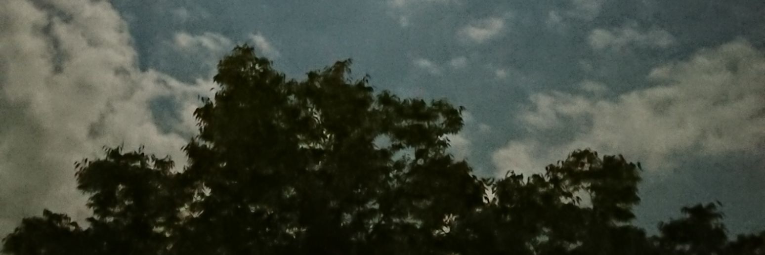 D0051's profile banner image