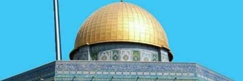 alisimoh's profile banner image