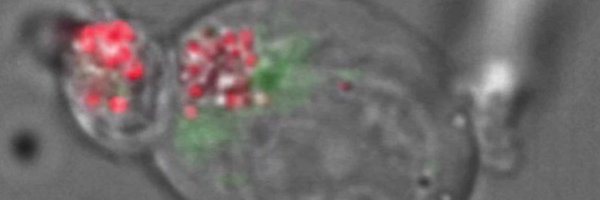 UH_NVLab Profile Banner