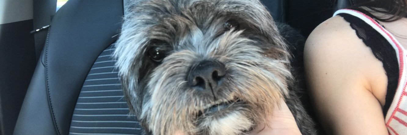 LexeeWalbeck's profile banner image