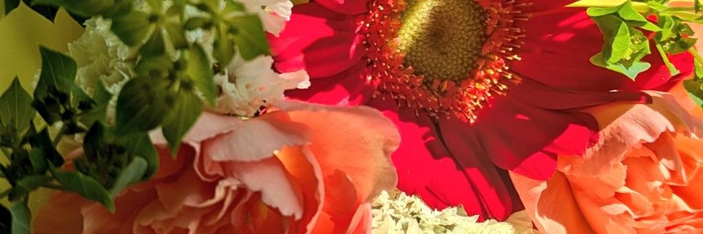 candyonhana's profile banner image