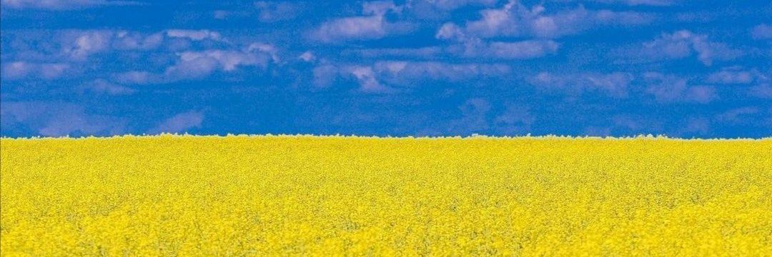 DanAleCornejo's profile banner image