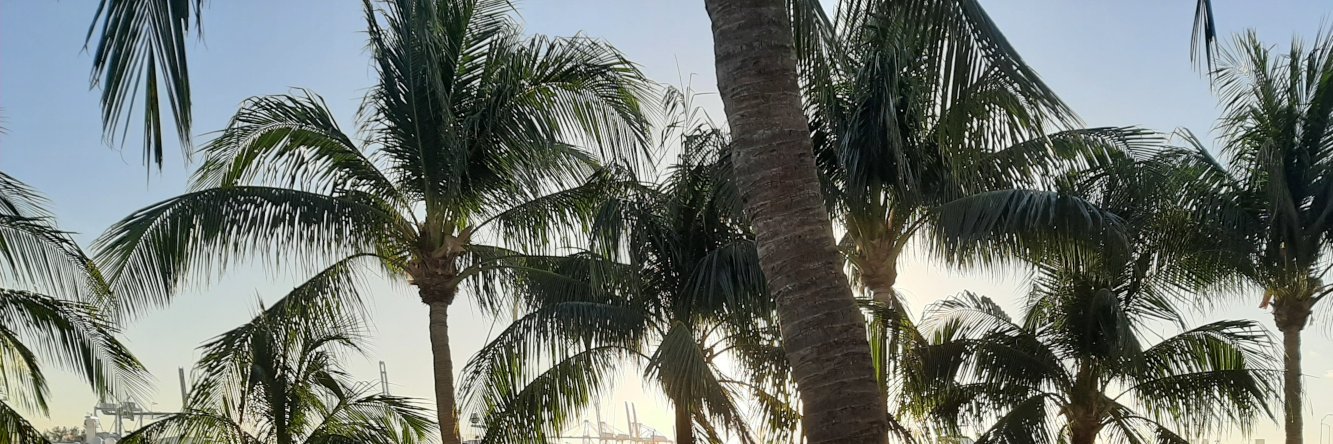 SoFloGreg's profile banner image