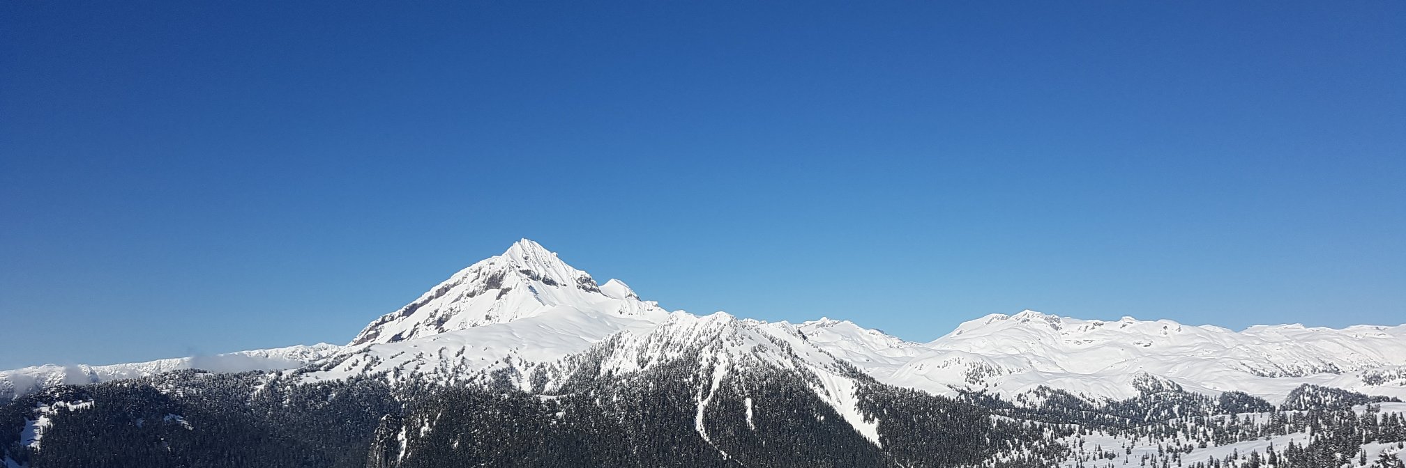 ryangiesbrecht's profile banner image