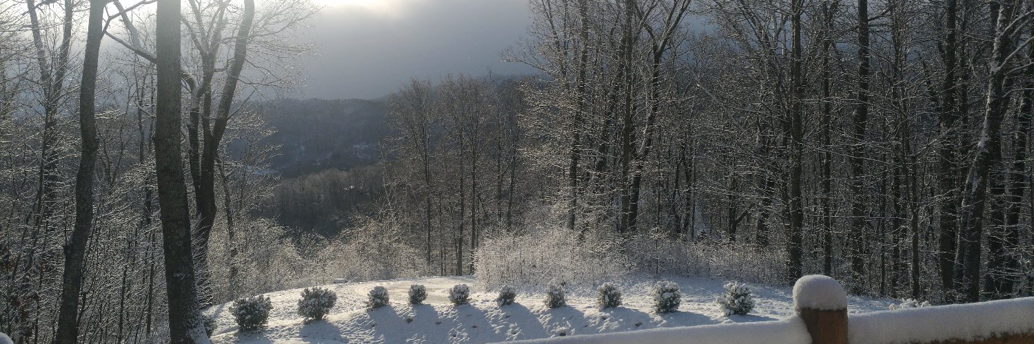 Lauri Kemmerling banner