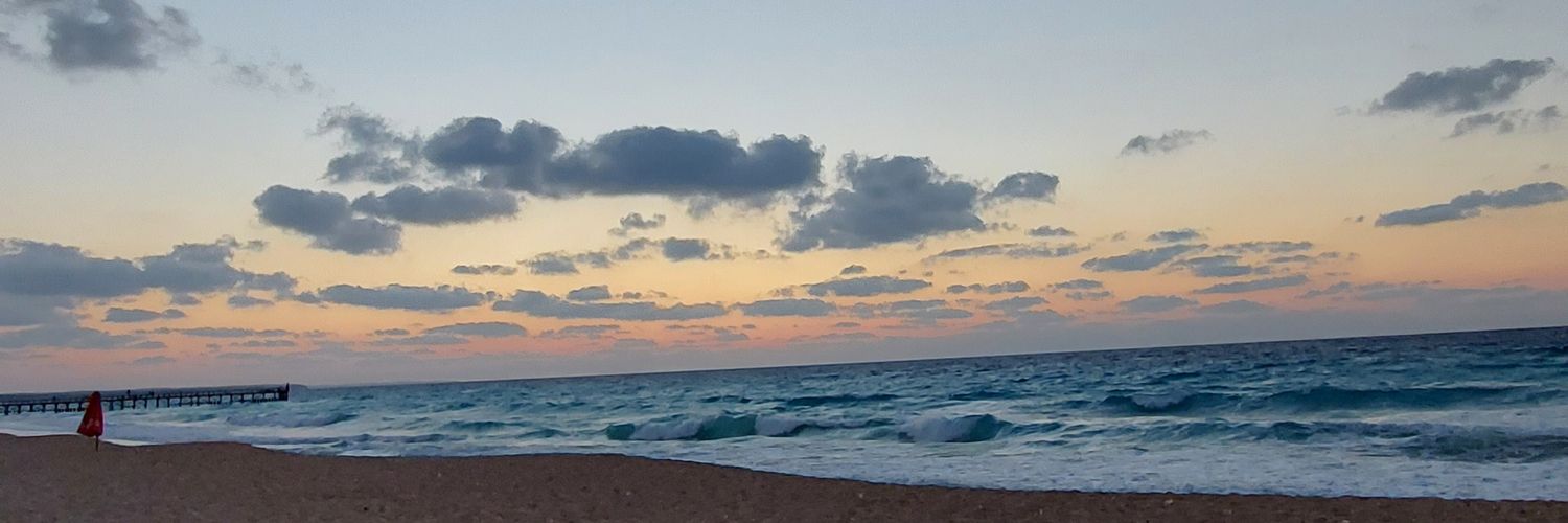 FWahba7's profile banner image