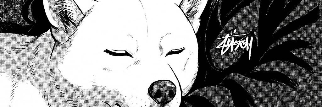 CurieuZe_BDS's profile banner image