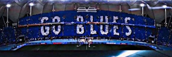 𝐕𝐄𝐍𝐔𝐒 banner