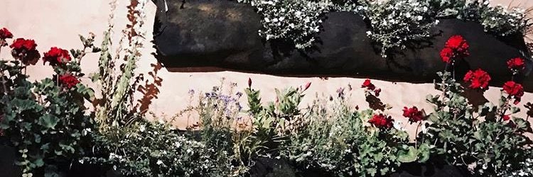 stellamister's profile banner image