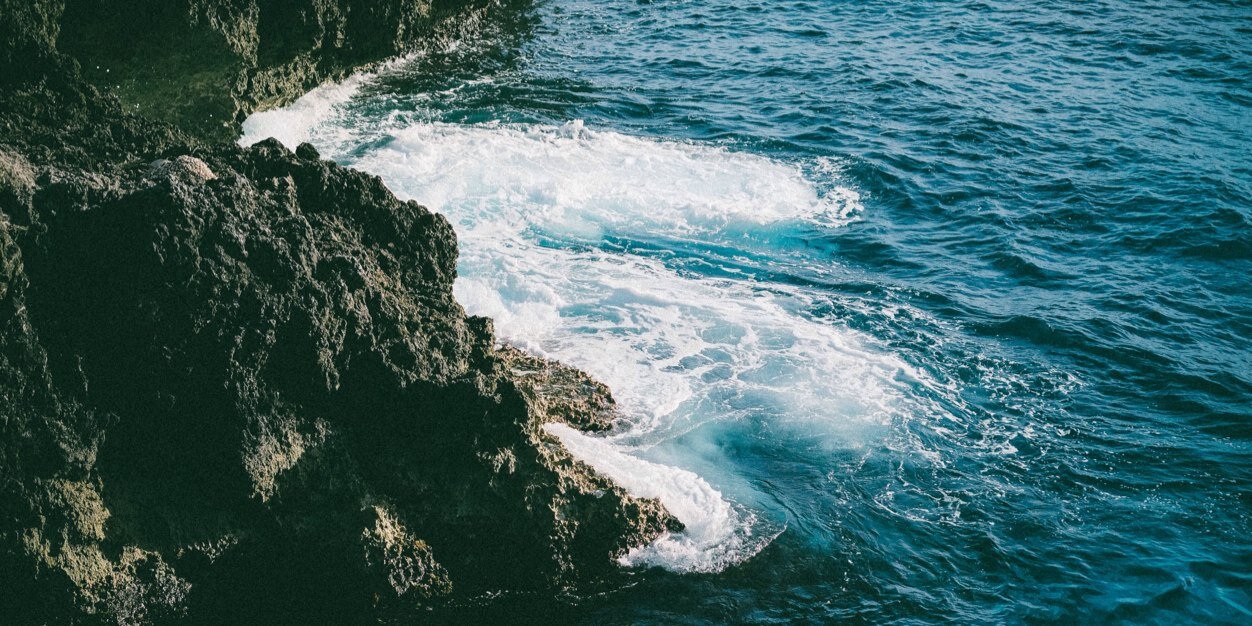 White_Pointer banner