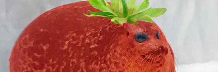 riou banner