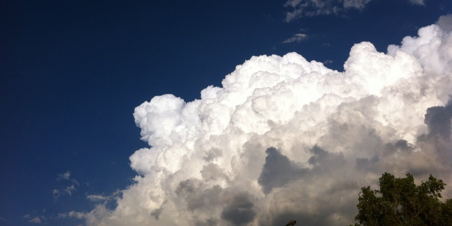 Alonso Sanchez banner