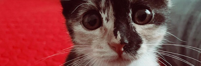 Hector_mkt's profile banner image