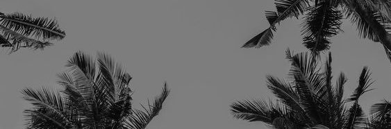 m1212m0's profile banner image