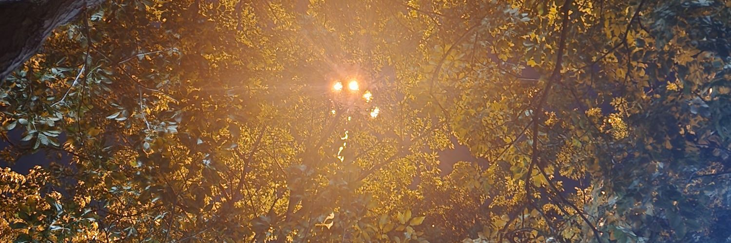 Aphrodite❤️‍🔥 banner