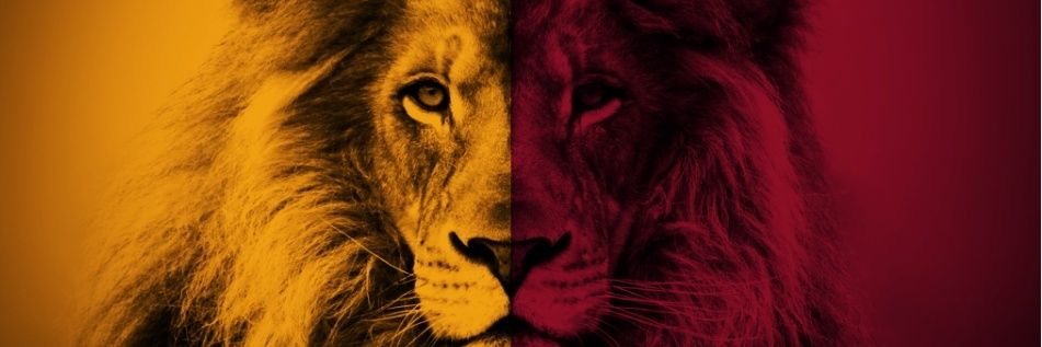 Sr_sryy's profile banner image