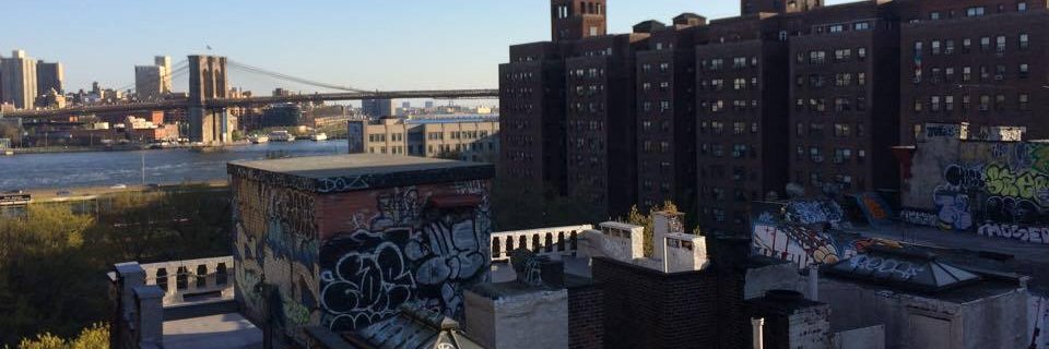 Lacefacelia's profile banner image