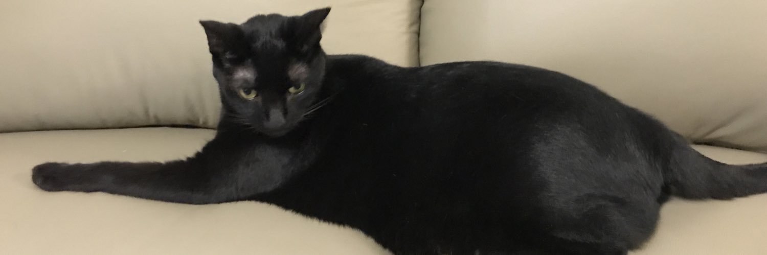 cubillion's profile banner image