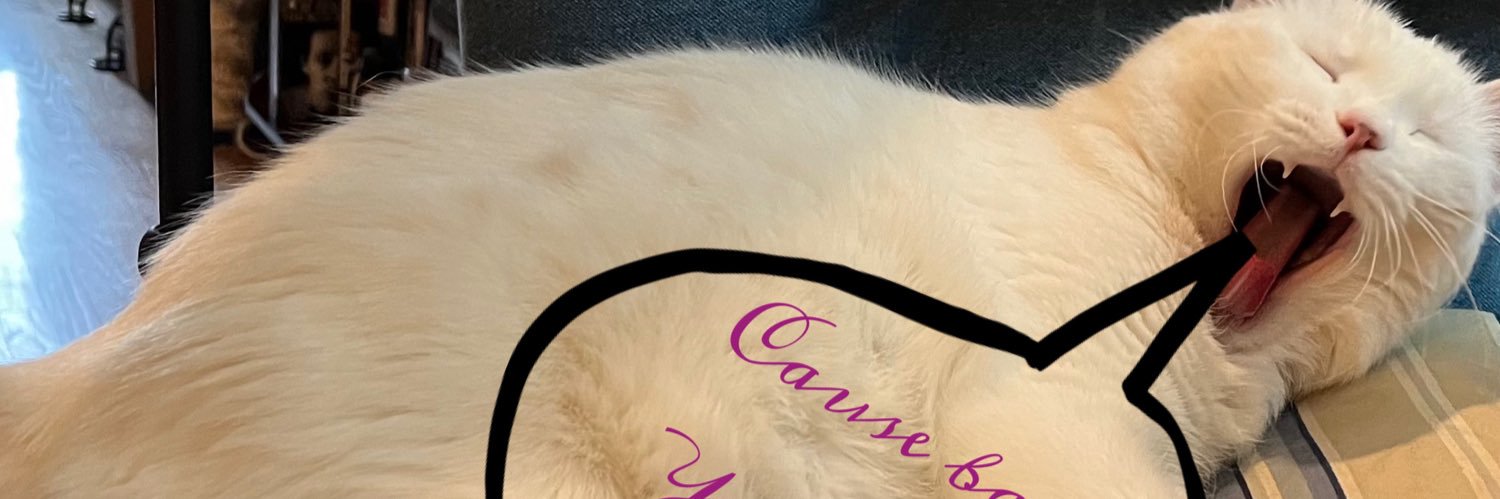 Cosmo and the Pawnews banner
